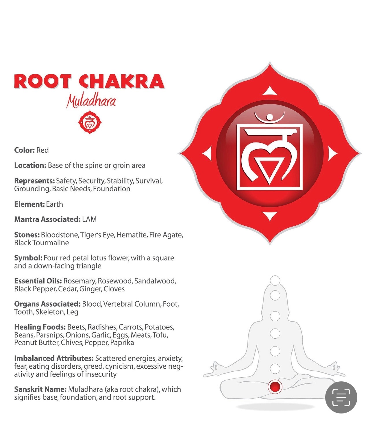 Root chakra (Muladhara) reference illustration