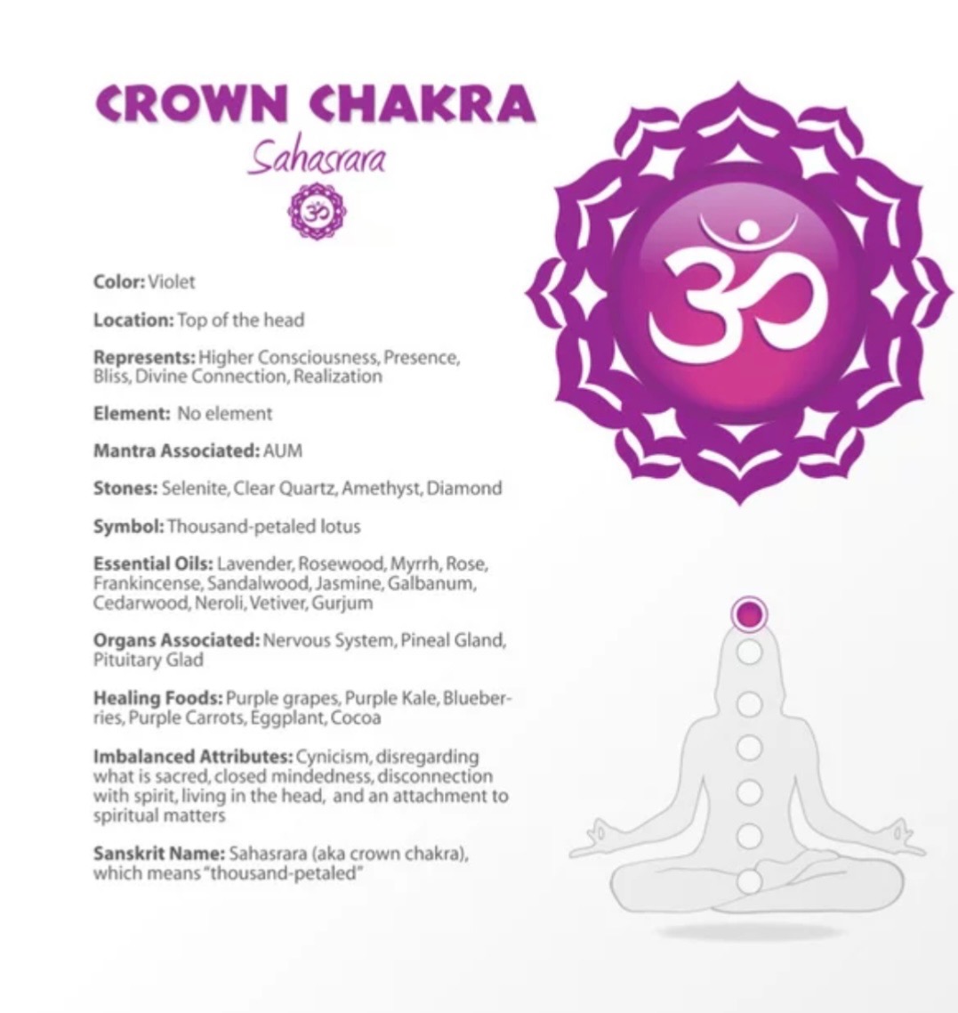 Crown chakra (Sahasrara) reference illustration