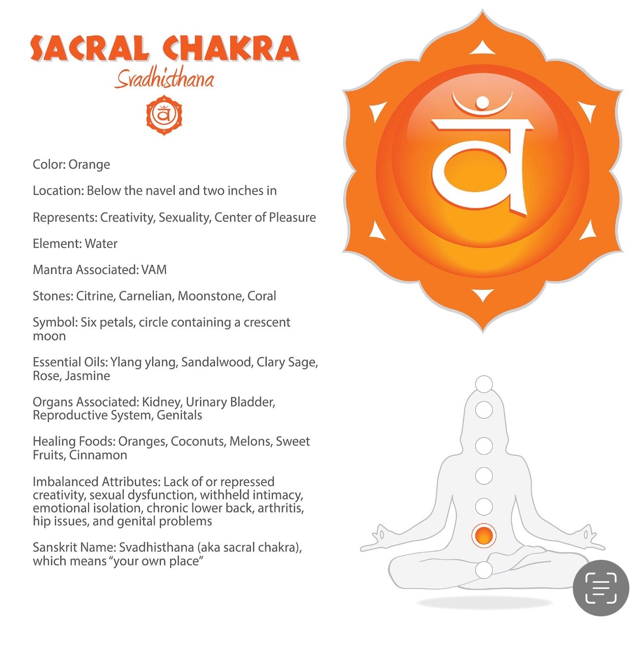 Sacral chakra (Svadhisthana) reference illustration
